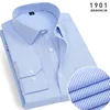1901-Striscia blu