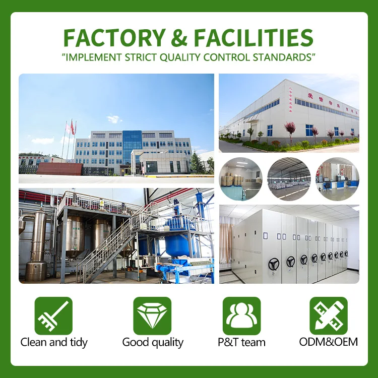 Tiens Cordyceps Extract Powder TCM Formula for Lung Health Bulk OEM Packaging for Global Distributors Cordyceps Capsules