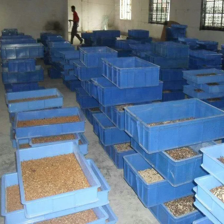 Manufacturer Price Multifunction Tenebrio Molitor Separating Plant Barley Worm Separator