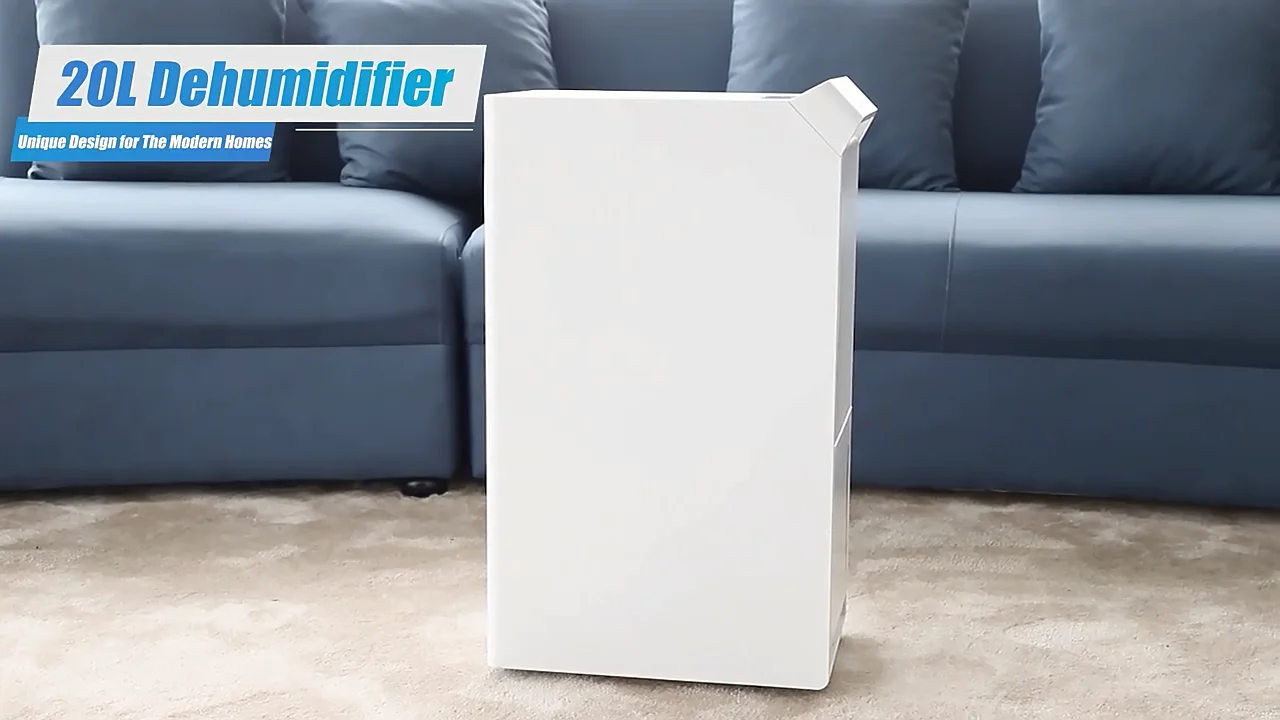 Hot Sale 20l Per Day Led Display R290 Electric Smart Refrigerant