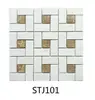 STJ101