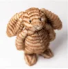 Tiger-striped rabbit