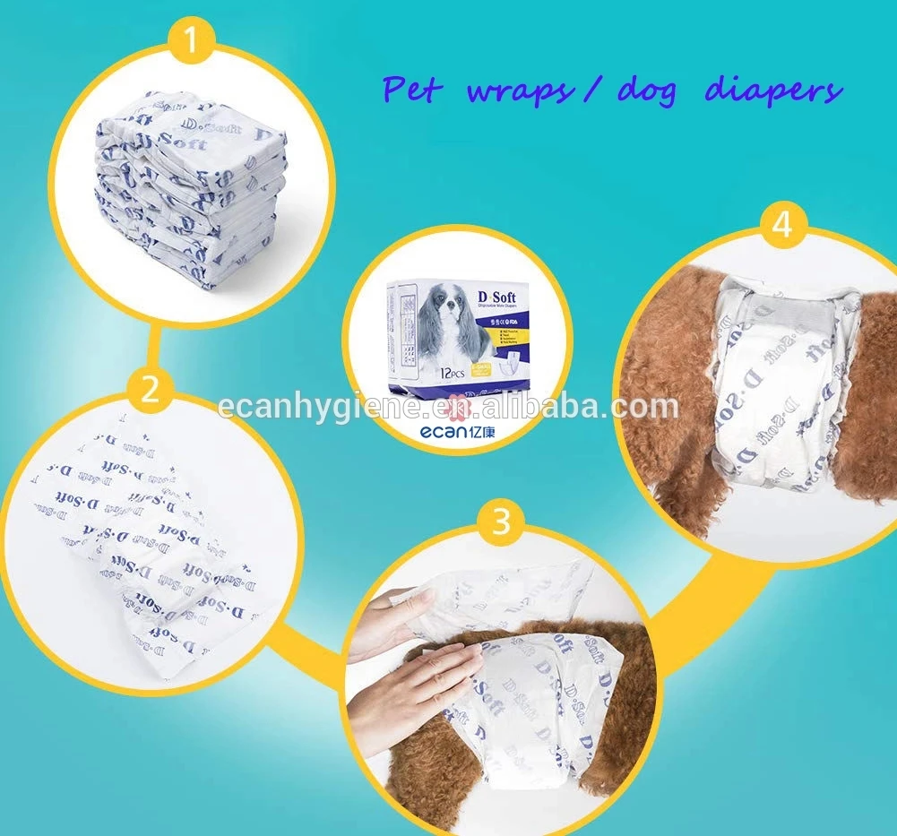 pet diaper 1 (8).jpg