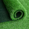 grass