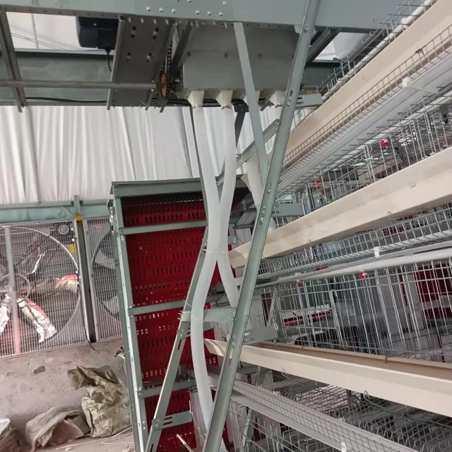 automatic A-type Laying Hen Cages for Sale/ Poultry Battery Cage for Sale/Layer Chicken Cage Prices
