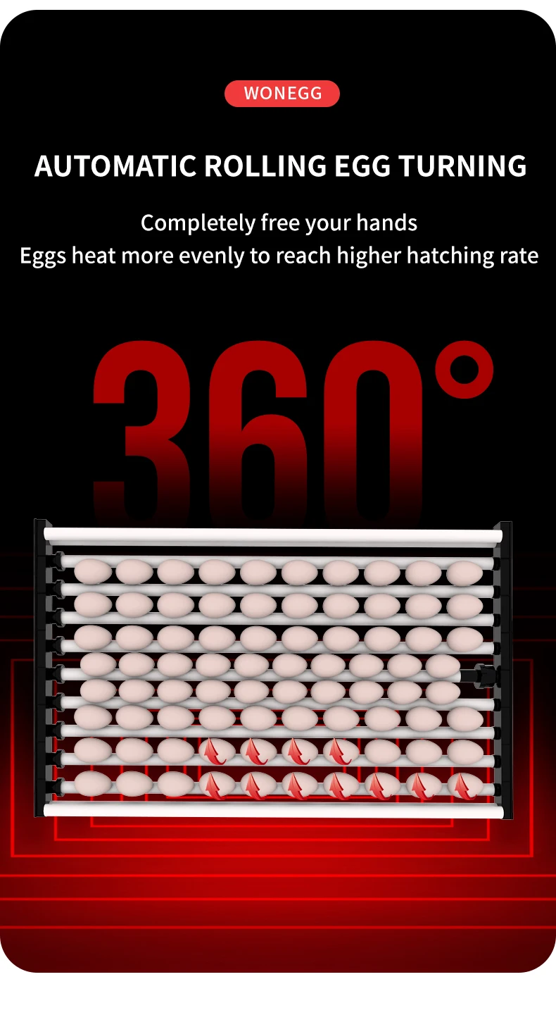 Wonegg Chinese Red 400 Eggs Incubator for Sale - High Prod