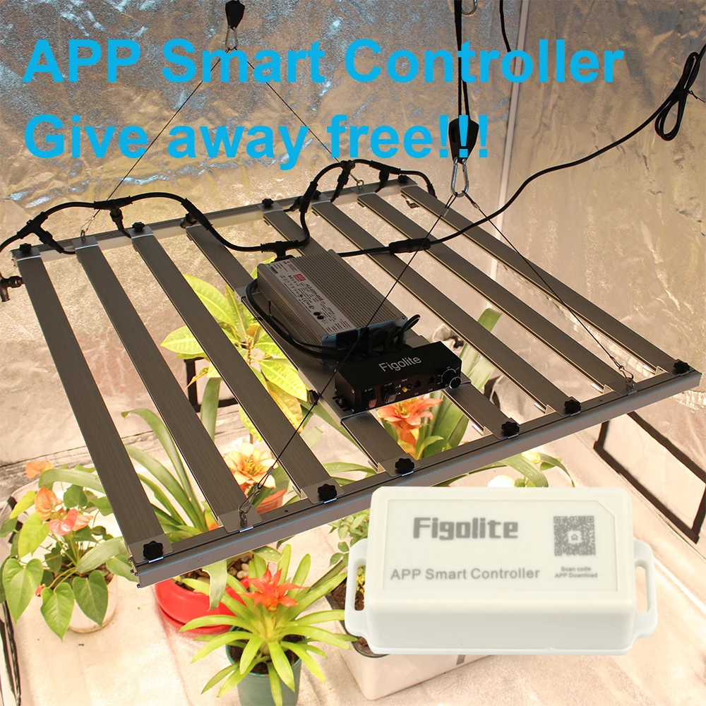APP Smart Controller Figolite Led Grow Light Bars 600w Full Spectrum with Lm301H EVO Diode Drivered by MW