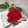 DZ016-2