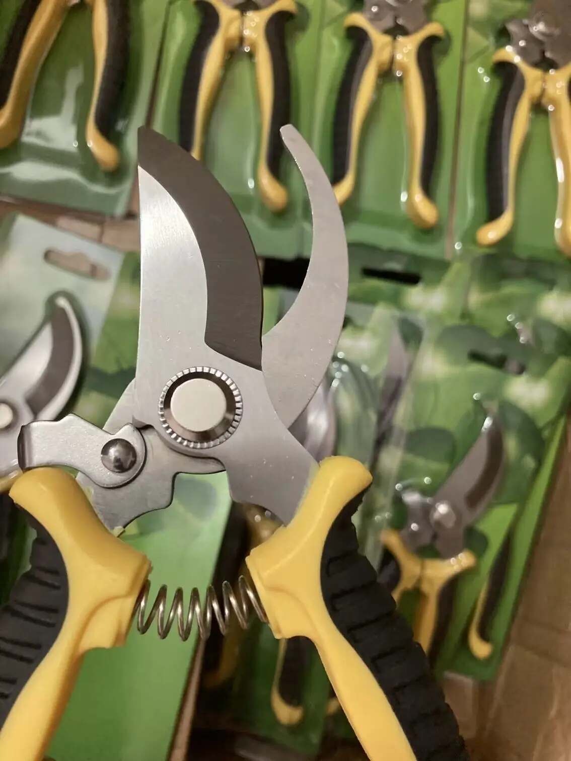 5 Boîtes De Gaines Guide-Lumière Jetables Pour Durcissement De Résine Dentaire - Laboratoire