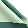 Verde esmeralda + Verde grisáceo
