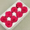 B mei 4-5 freud (8 flores)