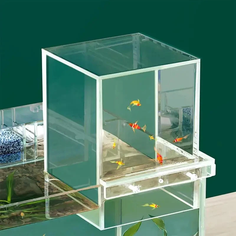 Small Transparent Acrylic Fish Elevator Tank Lightweight Acrylic Inverted Above Water Fish Tank Aquarius Bowls Small Transparent Acrylic Fish Elevator Tank Lightweight Acrylic Inverted Above Water Fish Tank Aquarius Bowls