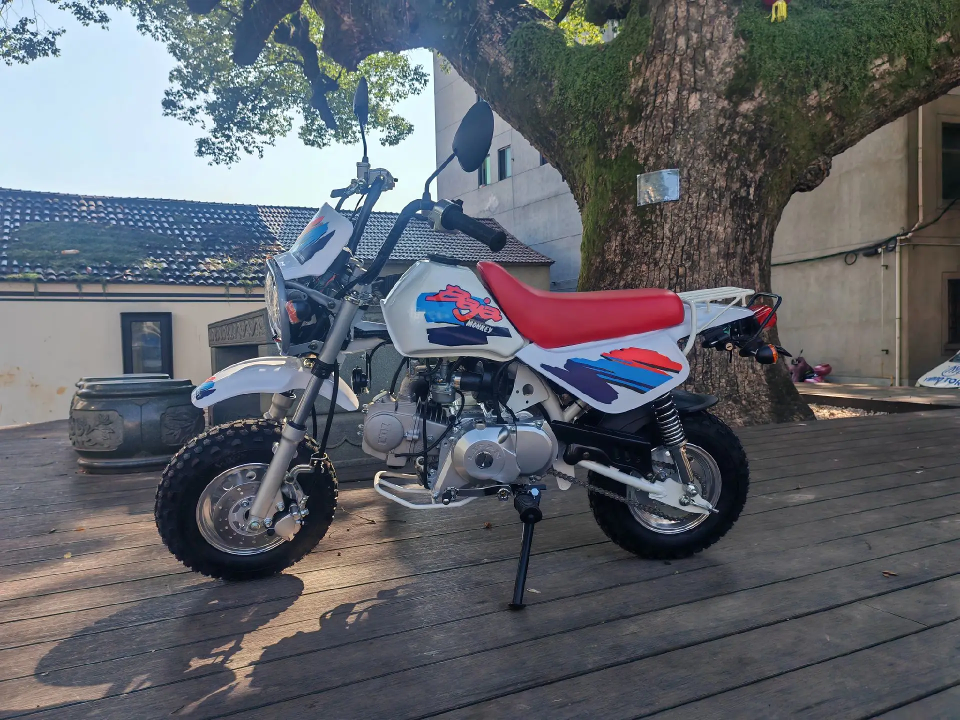 Honda Z50 Baja 50cc Mini Motorcycle - Classic 110cc & 125cc Mini 