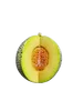 Watermelon S22488