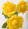 สีเหลือง