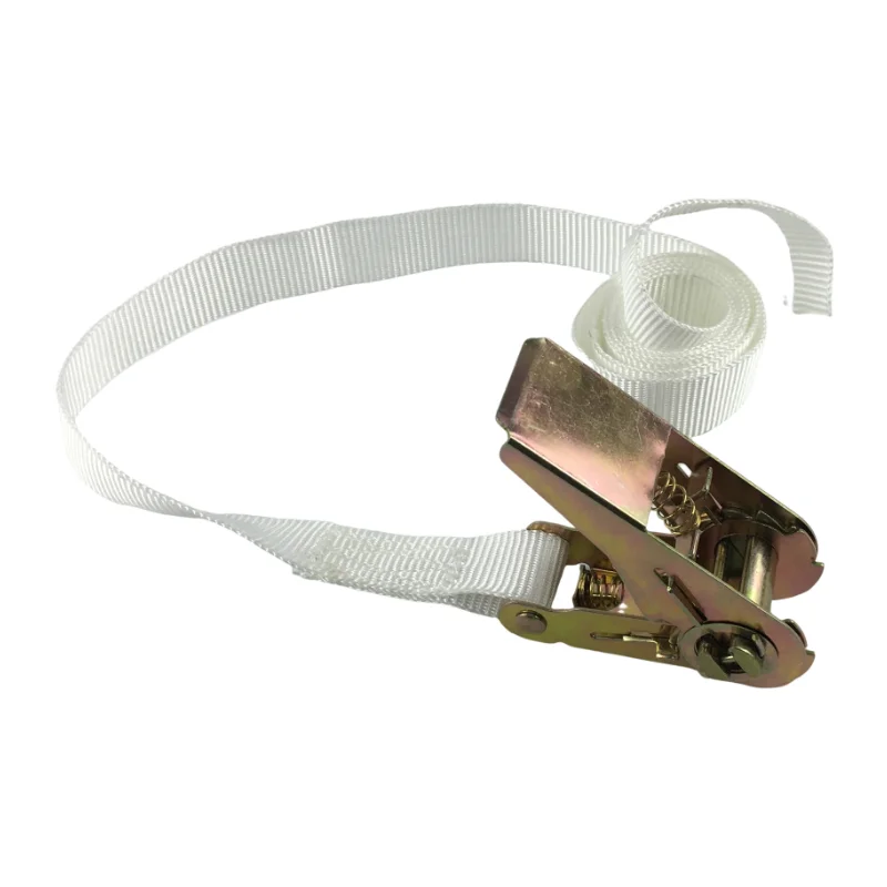 Polyester Ratchet Straps Kit with Cam Buckle J-Hooks Tie Down Tensioner for Container Lashing 10m Length Certified with GS