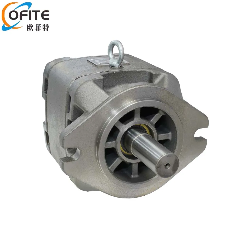 Factory Direct Sales HG1 Series Hydraulic Gear Pump Hydraulic Pump Oil Pump for Injection Molding Machines Bending Machines