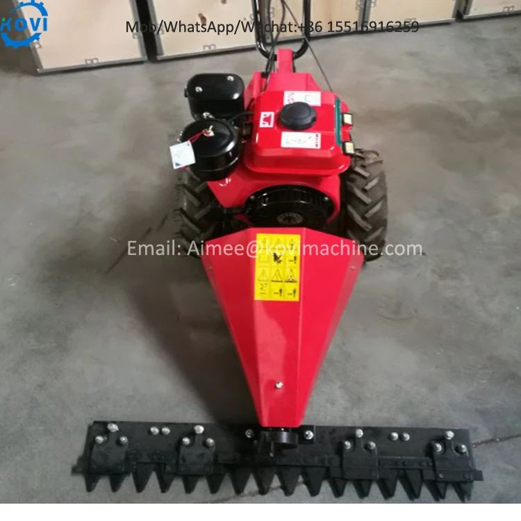 Handheld Push Lawn Mower Machine Grass Cutting Machine Grass Cutter Machine Gasoline Lawn Mower