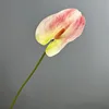 Aquarelle en silicone de palmier rouge irlandais