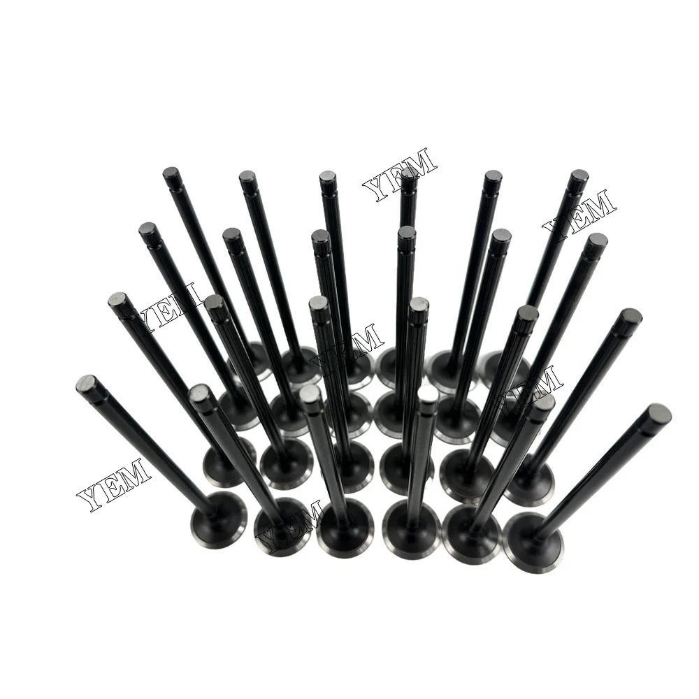 Exhaust Intake Valve Fit for Hyundai D6CB Engine