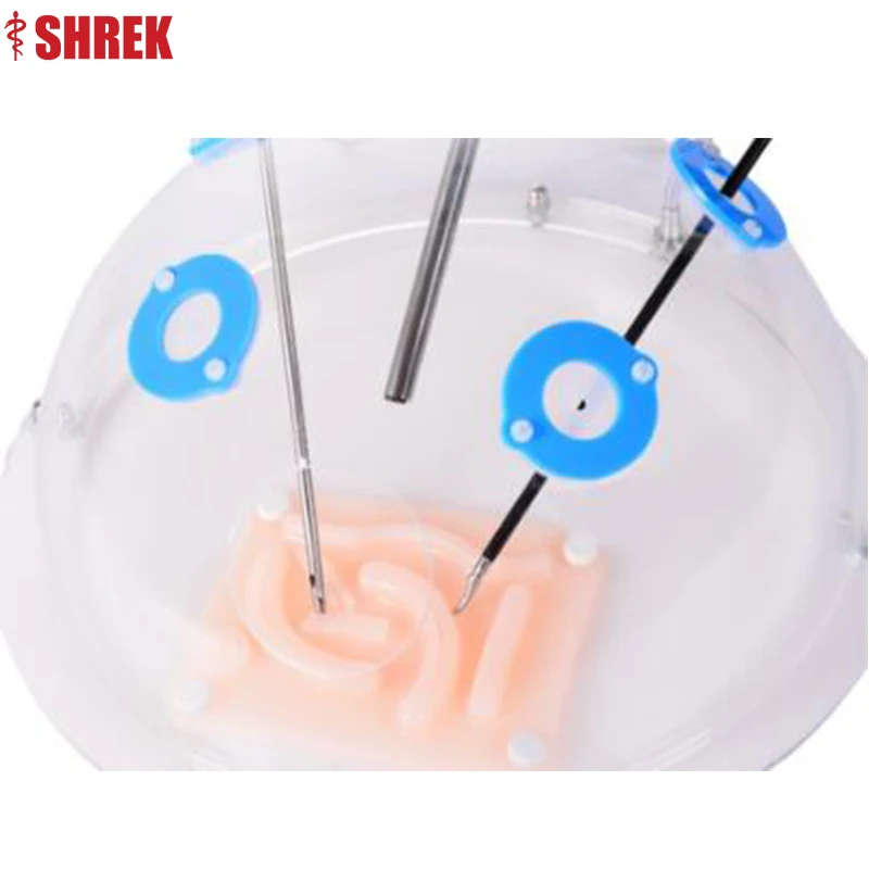Endoscope Laparoscopic Training Simulator for Urology Gynecological Endoscopic Surgery
