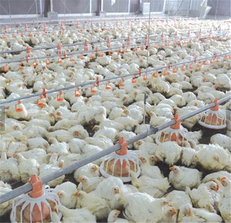 360 Degree Adjustable Good Sealing Performance Poultry Drinker Chicken Nipple Water Drinker For Layer
