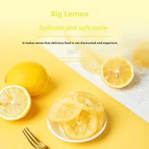 Organic Preserved Dried Lemon Slices in Bulk Best Price Wholesale Sweet Taste Dried Fruit Product