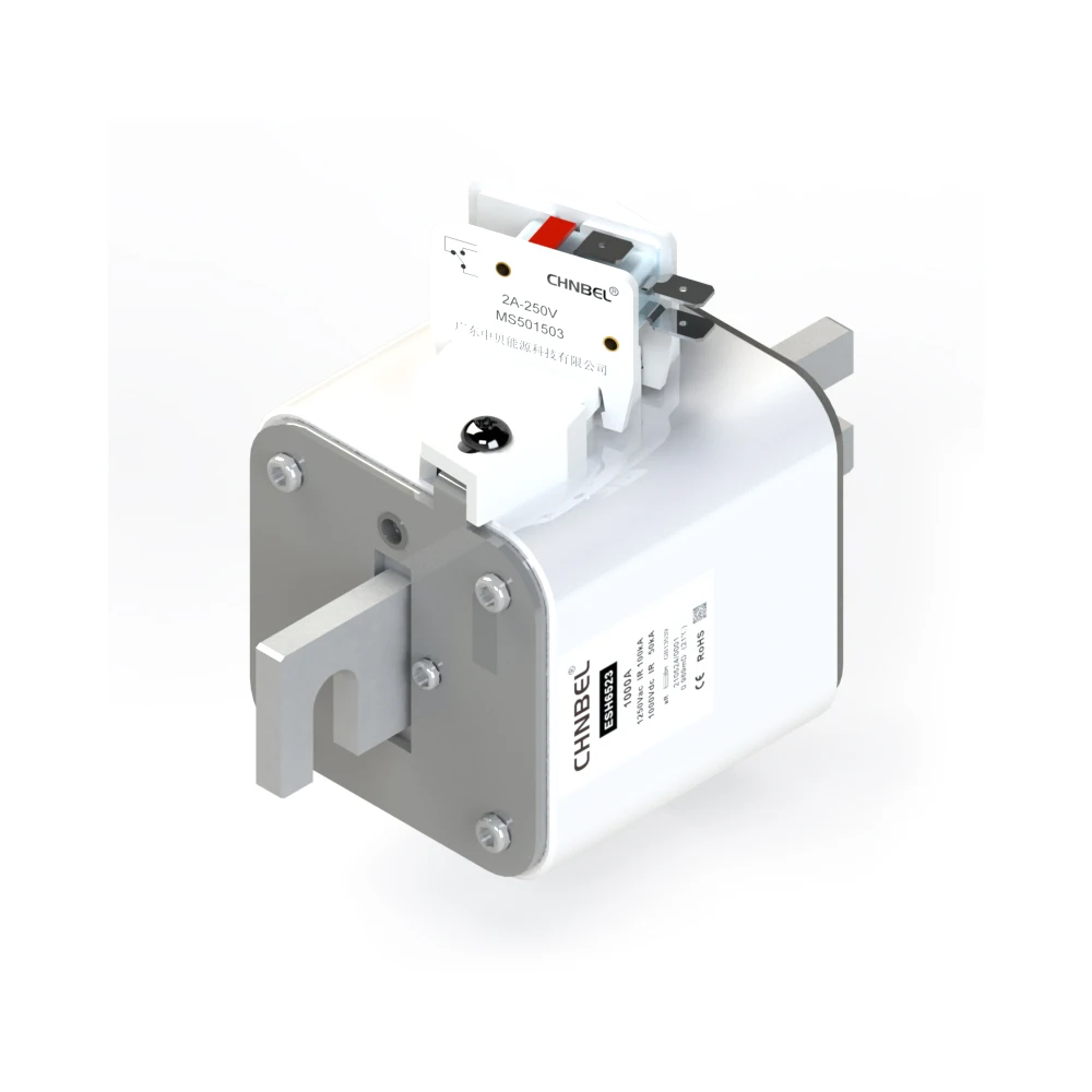 CHNBEL ESS Fuse ESH3055 100A 1250Vac 1000Vdc HIGH SPEED Square Body ESS Fuses