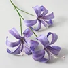 Lirio dorado morado