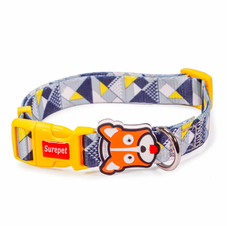 matching dog collars