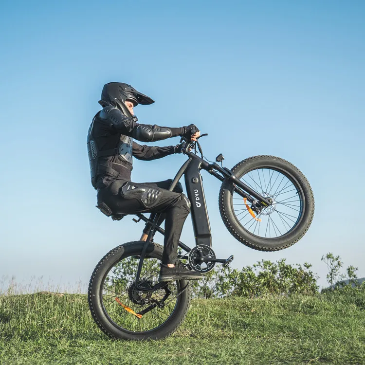DYU 26 Inch 40 Mph Electric Bike - 750w Fat Tire Motor Bike DYU 26 Inch 40 Mph Electric Bike - 750w Fat Tire Motor Bike
