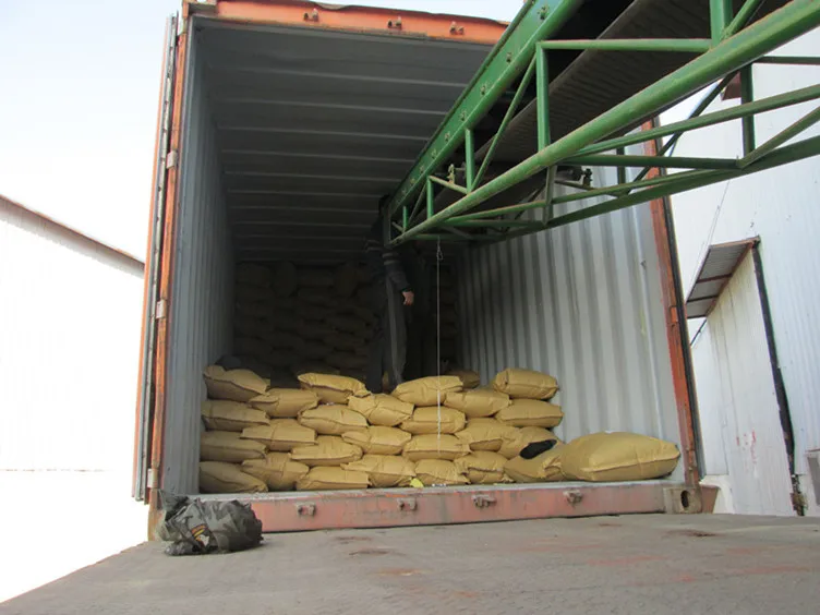 Adhesive Industrial Gelatin/pork Skin Gelatin Technical Grade Buy