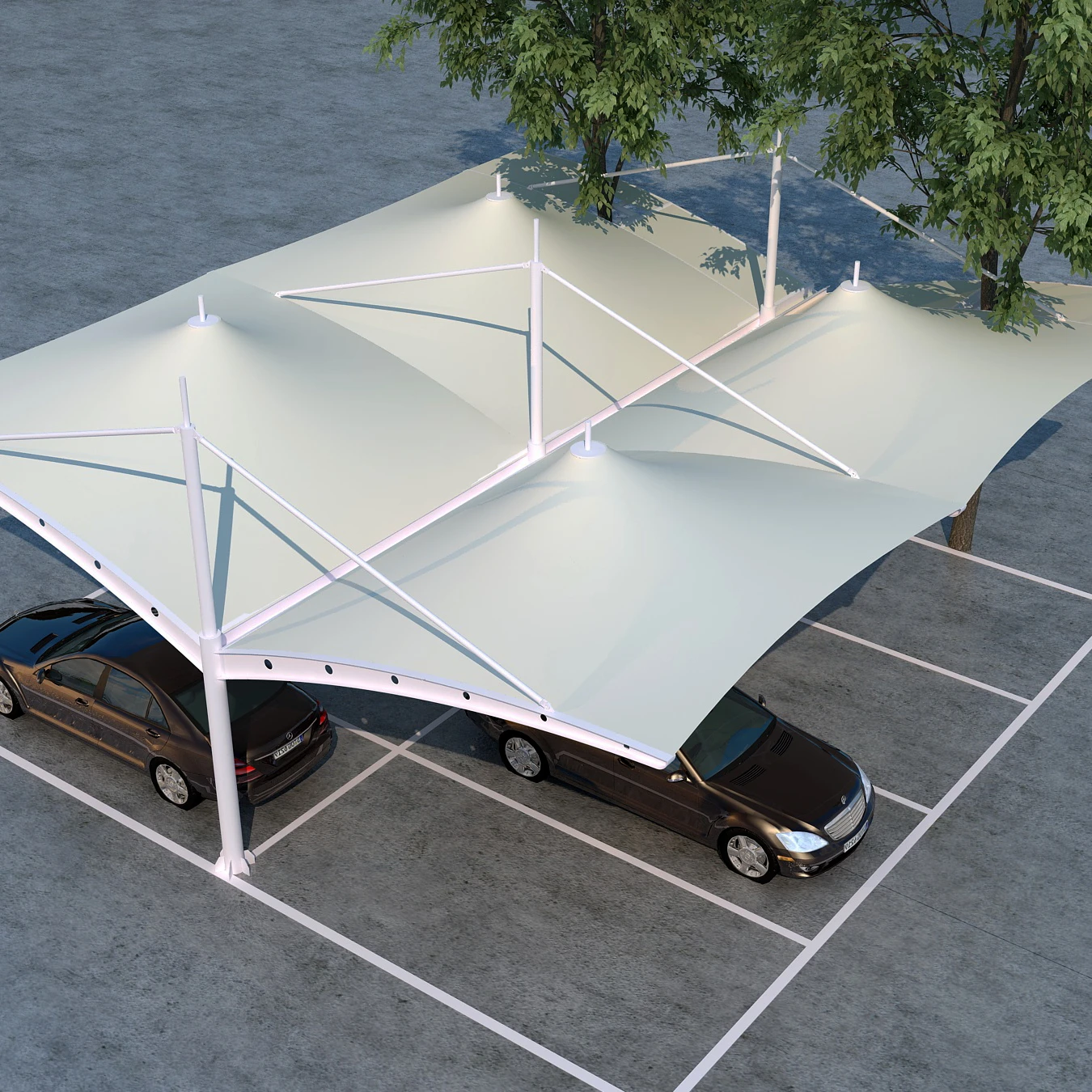 ランキング第1位 Scenic XZ Square Eco-friendly & Durable - Canopy Membrane Garden 洋書