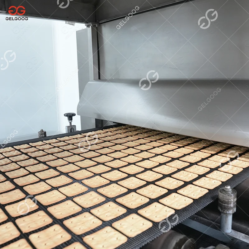 Complete Fully Automatic Hard and Soft Cookie Making Plant Round Egg Biscuit Production Line