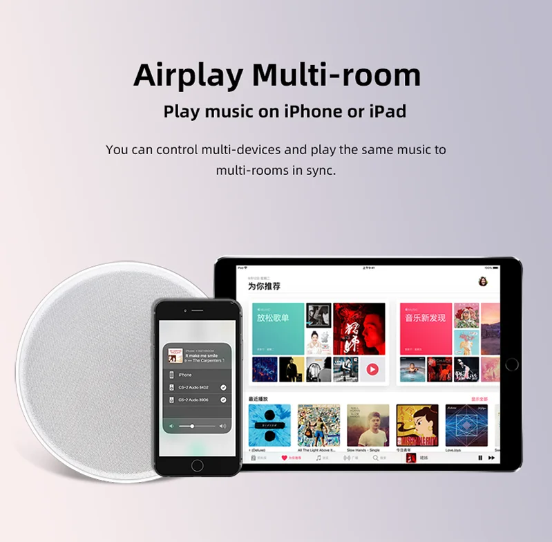 Home Wireless Ceiling Speaker W/ Amplifier Linkplay Airplay Dlna Wifi