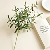 Ten forked olives with fruit 103cm