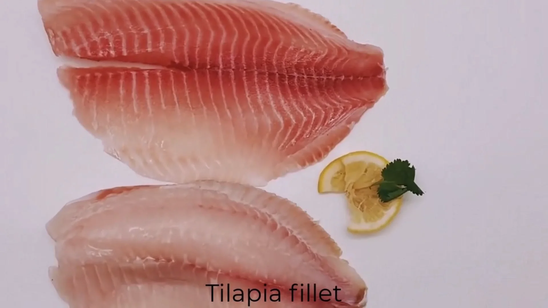 All Size Frozen Tilapia Fillets 10lbs Per Carton Skinness Boneless Frozen Fish Fillet Tilapia