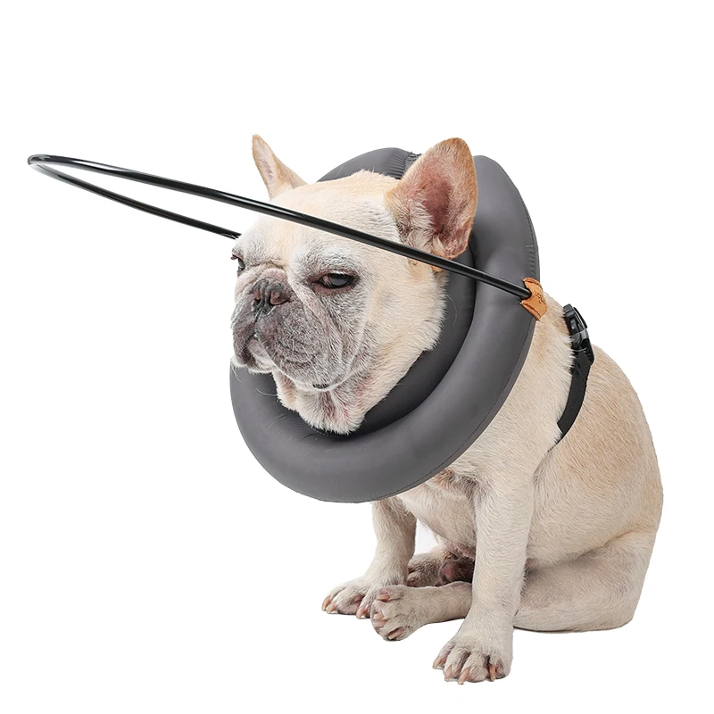 Dispositivo Guida Imbracatura Per Cani Ciechi Cataratta Anti