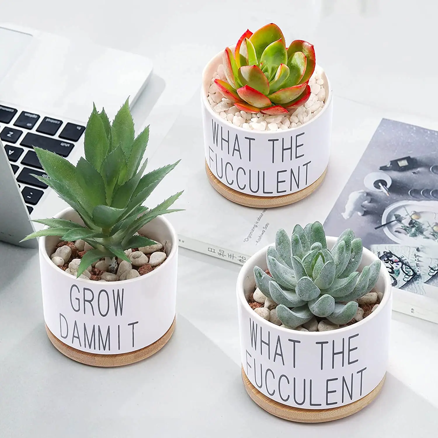 White Ceramic Funny Planter Pots Succulent Pots With Bamboo Tray - Buy ...