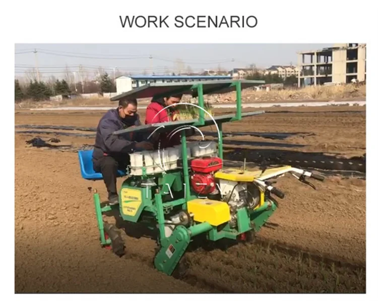used tobacco transplanter for sale Hot Sale Vegetable Transplanter Tobacco Planting Machine for Tractor