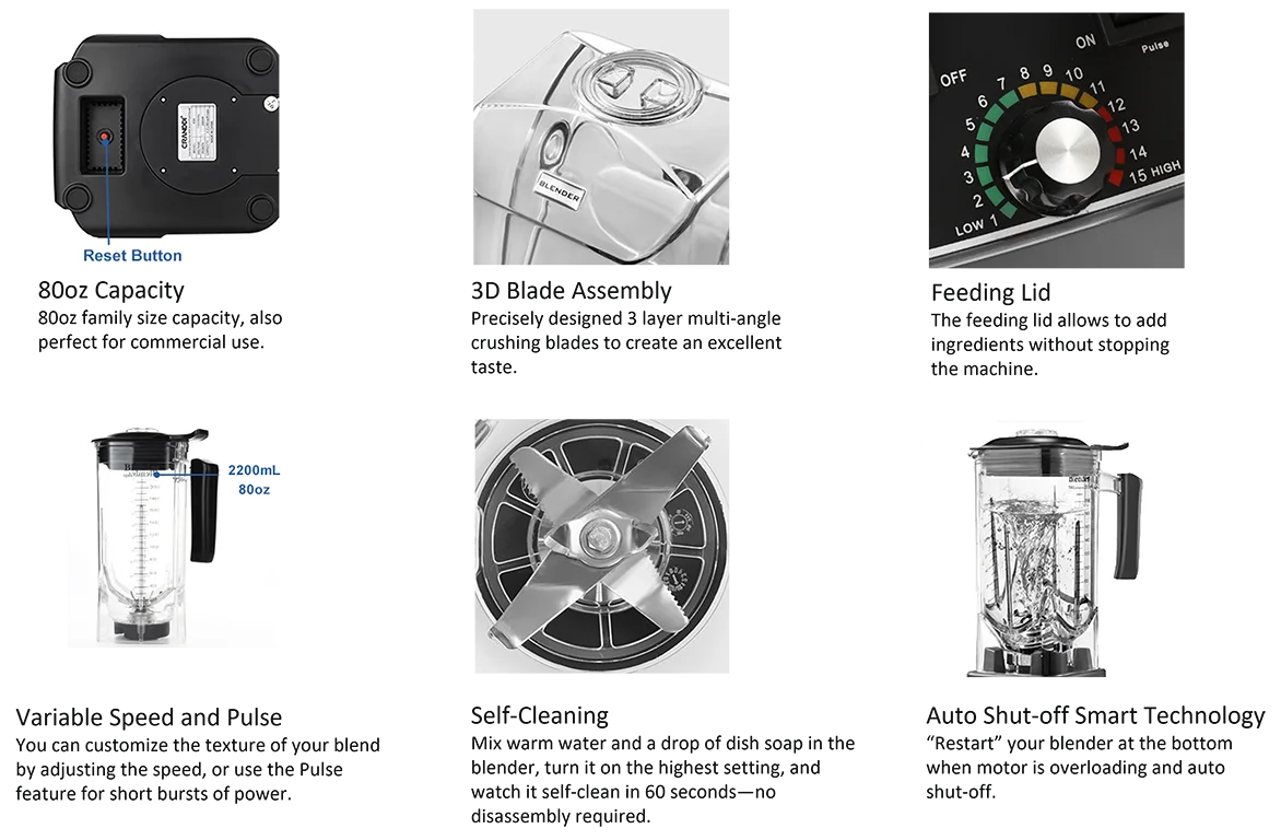 Cranddi Frozen Fruit Smoothie Blender 2200w Professional Blender With