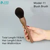 Modelo-11