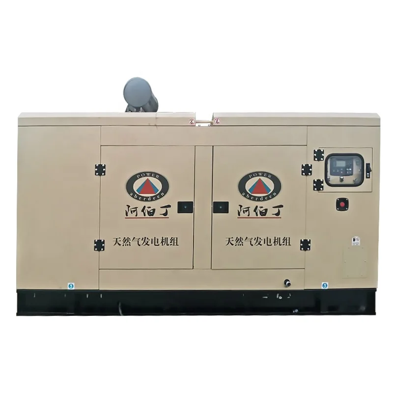 80kw 100kw 120kv 125kva 150kw 200kw 250kw 300kva Industrial Silent Natural Gas Biogas LPG Generator with CHP