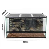 Pet climbing tank