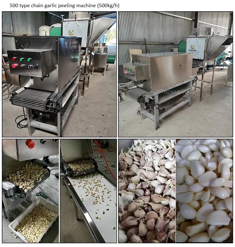 machine peeling garlic(7).jpg