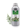 Árbol de té