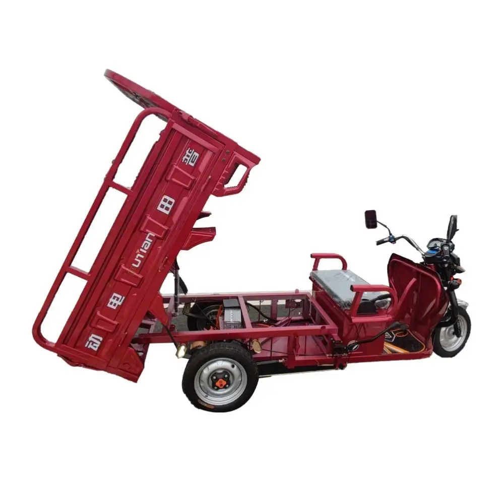 Yuki　③ Cheap Zappy Trike Z Tech Yutu Yuki Motor Tricycle Three 3