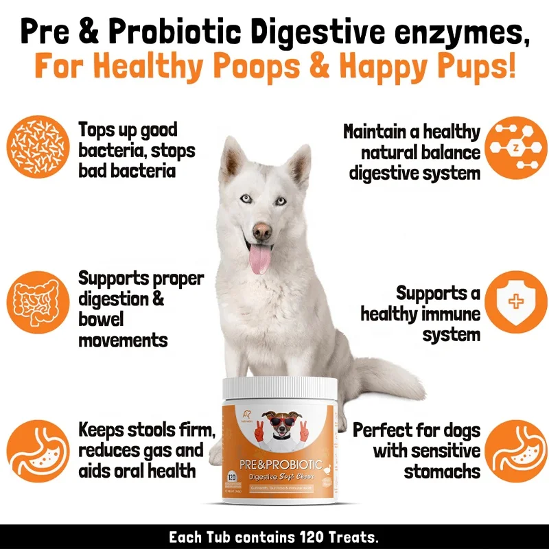 Best Selling 120 Soft Chews Probiotics Dogs Chewable Gut Health Pet