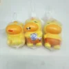 Little capybara squishy toy-random-slow rebound-mesh bagged