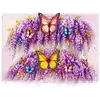 Wisteria w Butterflies